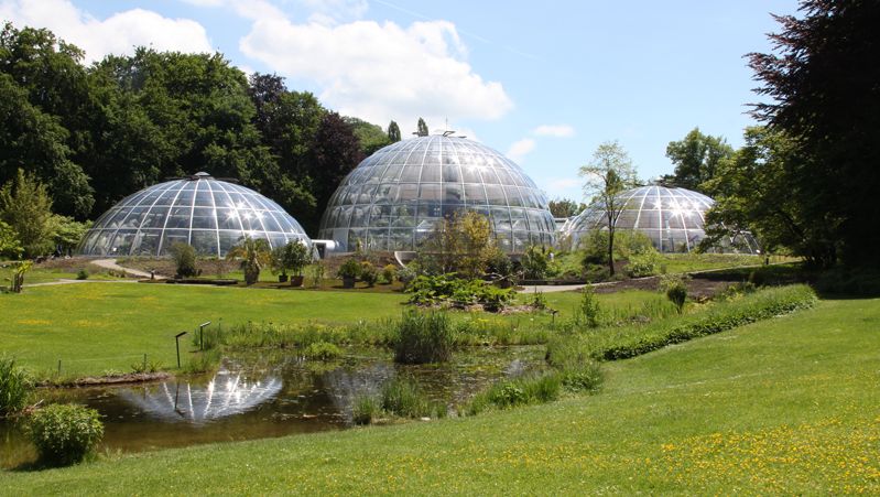 Blick über den Weiher im botanischen Garten auf die drei futuristischen Kuppeln der Schauhäuser.