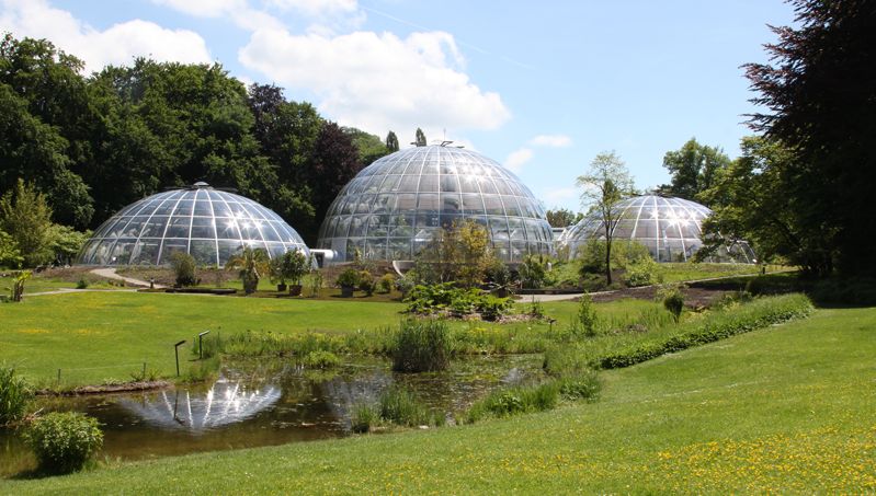 Der Blick führt über den Weiher im botanischen Garten auf die kugelförmigen Gewächshäuser.