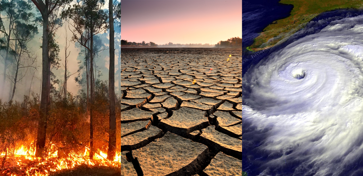 Klimabedingte Umsiedlung