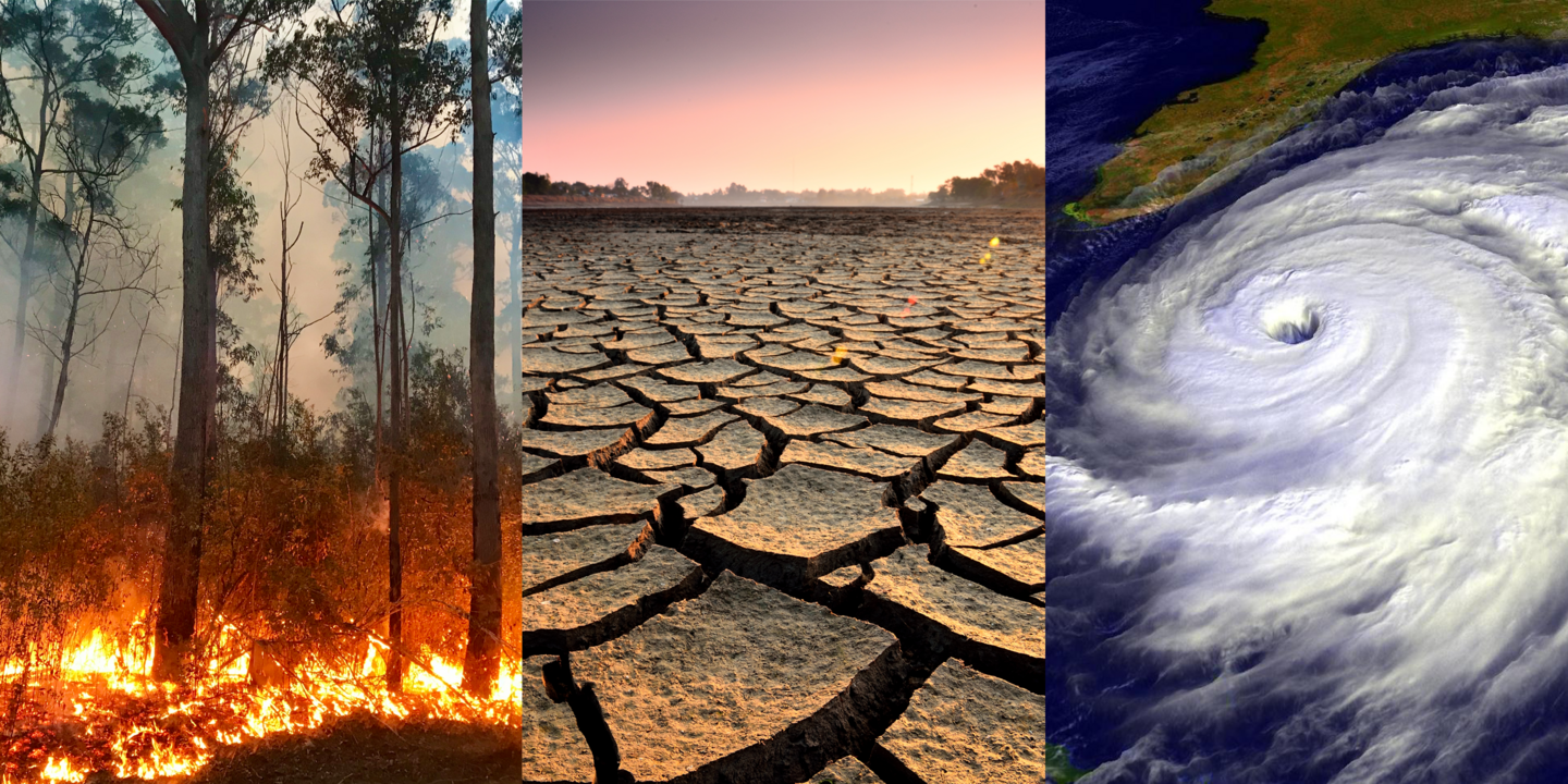 Das Bild zeigt klimatische Extremereignisse wie Waldbrände, Dürre und Hurricanes.