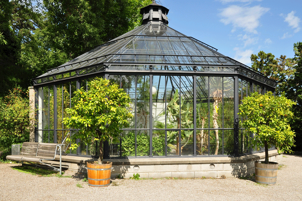 Ein älteres Gewächshaus ist zu sehen, mit zwei jungen Bäumchen im Vordergrund und blauem Himmel im Hintergrund.