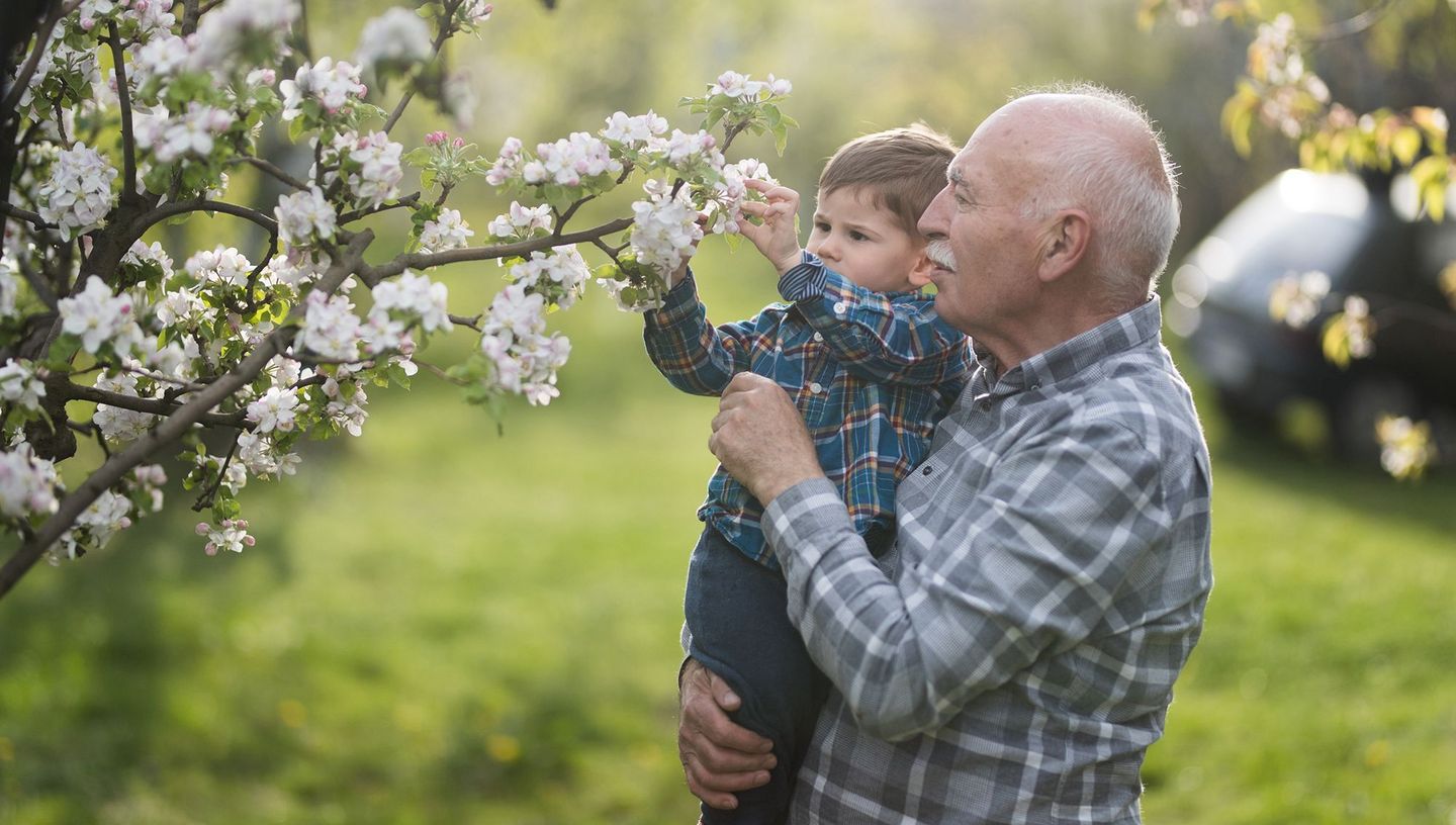 Ein Grossvater hält sein Enkelkind im Arm und zeigt ihm die Blüten eines Baumes.