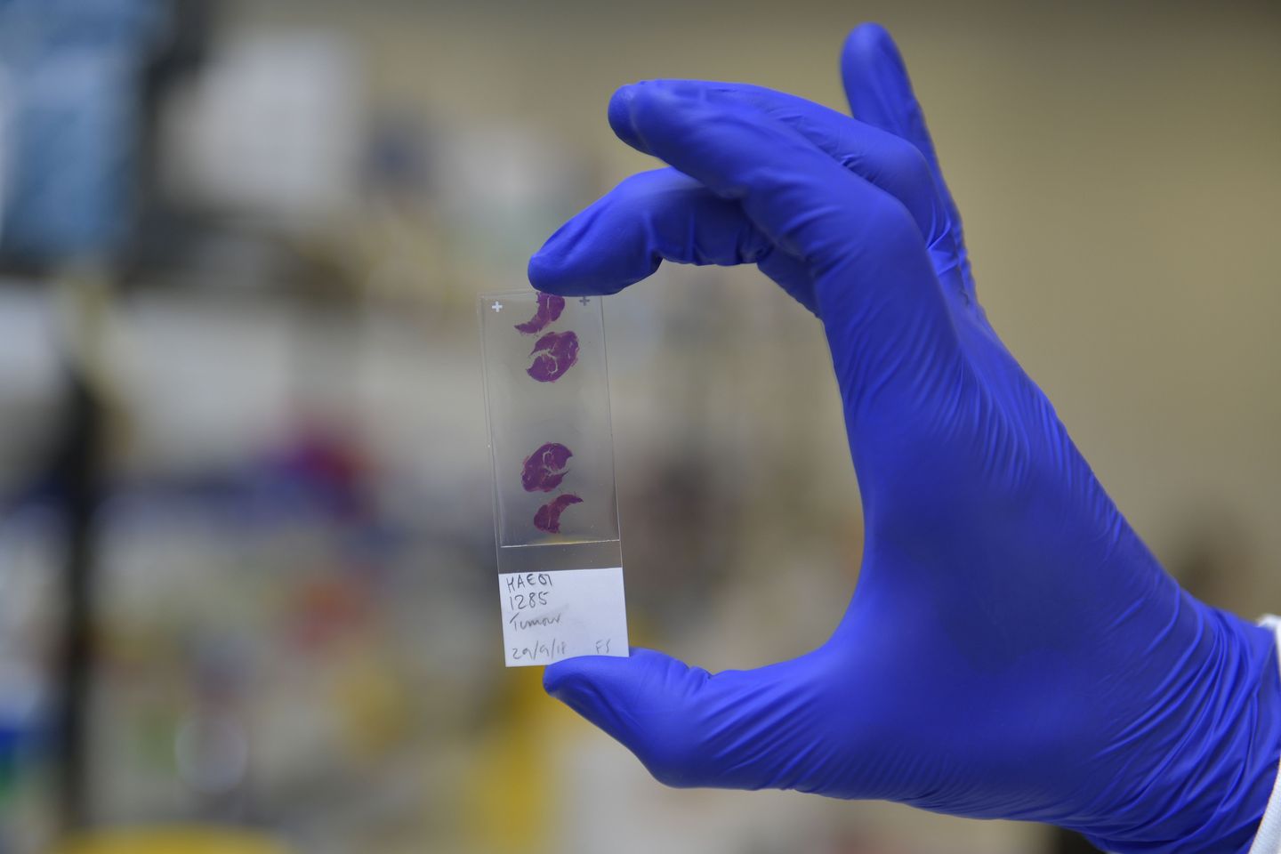 A hand in blue lab gloves holds a sample in the air.
