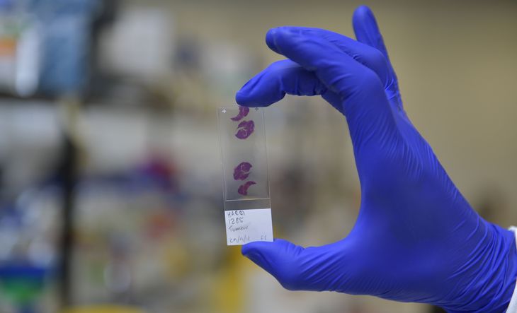 Eine Hand in blauen Labor-Handschuhen hält eine Probe in die Luft.